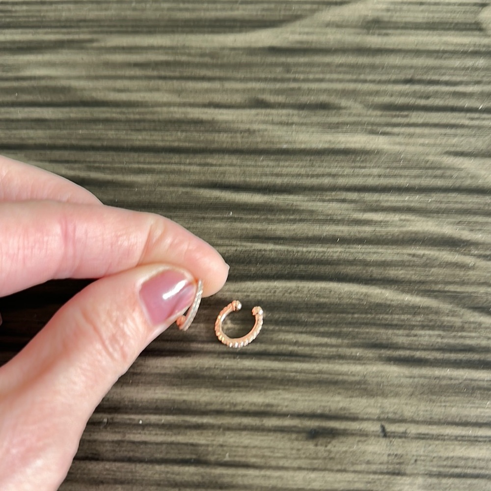 Elegant Gold Hoop Earrings